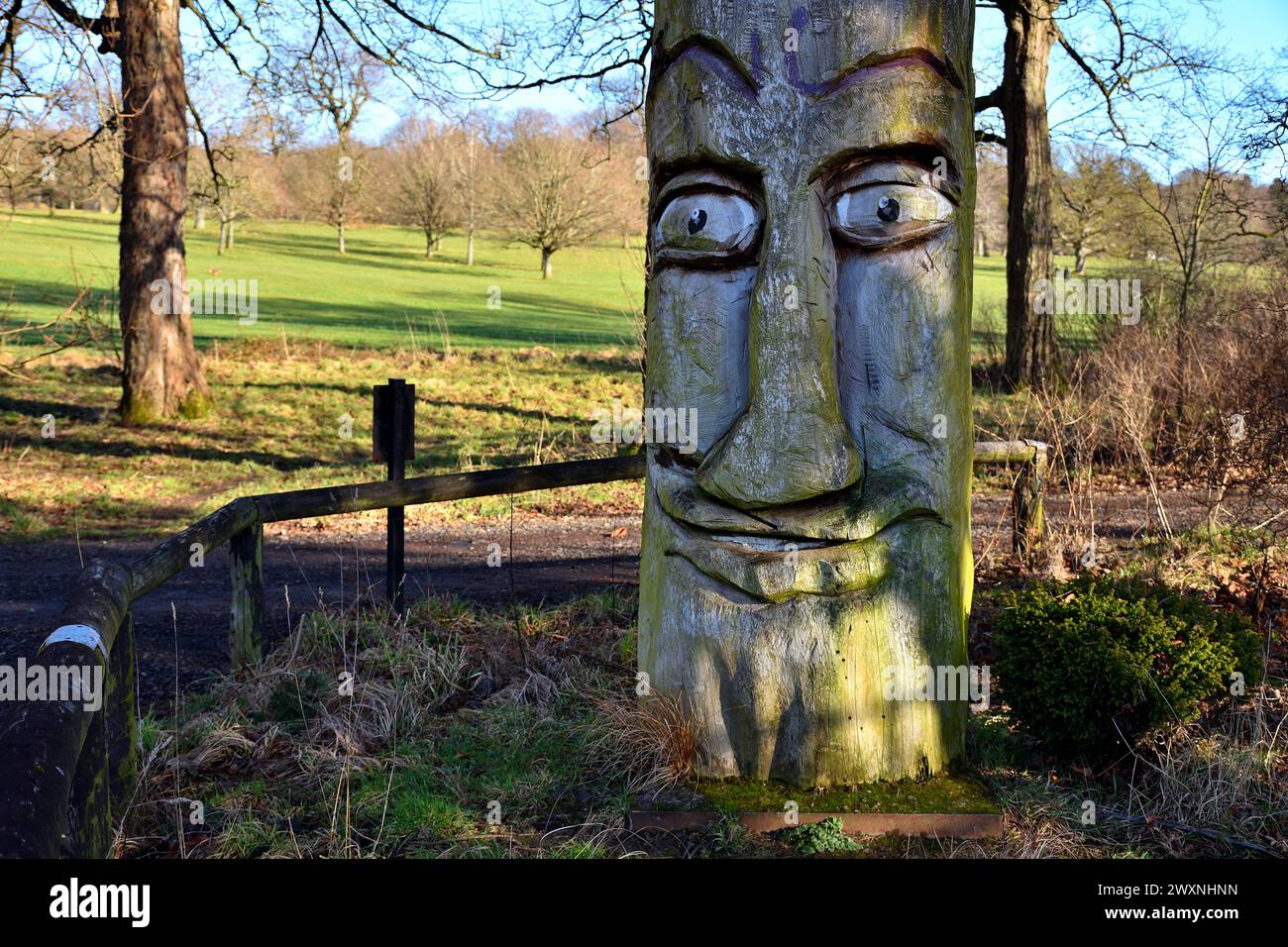 Camperdown Wildlife Centre in Dundee Stockfoto