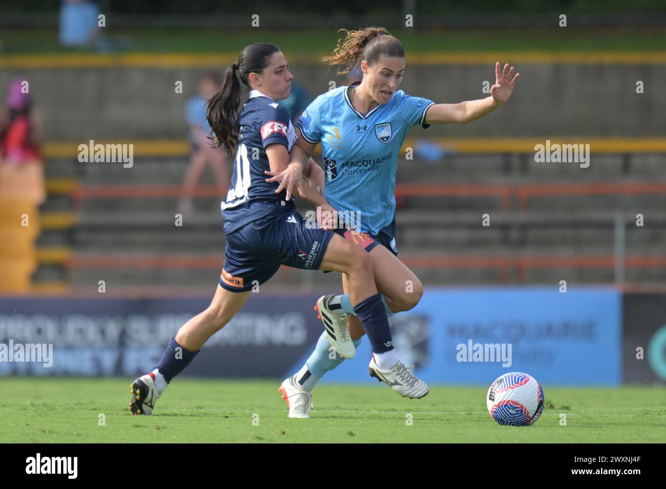 Lilyfield, Australien. 31. März 2024. Alexandra Carla Chidiac (L) vom Melbourne Victory FC Margaux Marianne Chauvet (R) vom Sydney FC wird während des Spiels der Liberty A-League 2023-24 in Runde 22 zwischen Sydney FC und Melbourne Victory im Leichhardt Oval in Aktion gesehen. Endstand Sydney FC 0:4 Melbourne Victory FC. (Foto: Luis Veniegra/SOPA Images/SIPA USA) Credit: SIPA USA/Alamy Live News Stockfoto