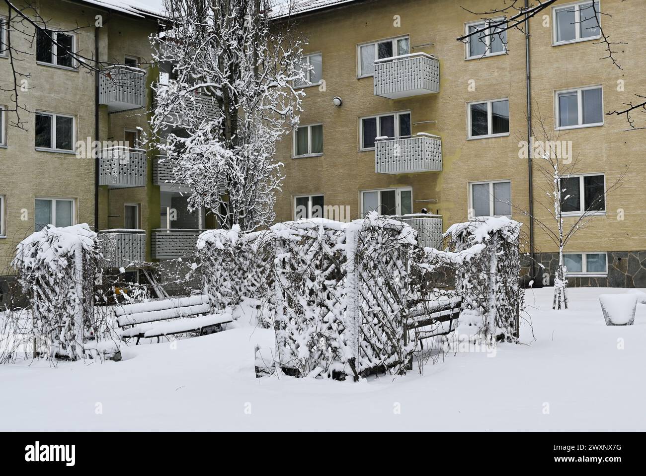 Ein Wohngebiet mit Bäumen und einer schneebedeckten Bank vor einem gelben Appartementhaus mit Balkonen Stockfoto