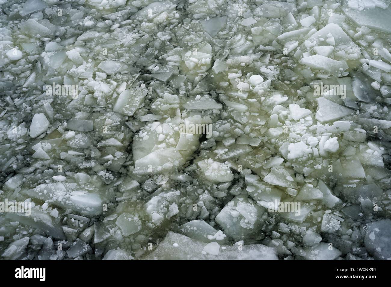 Schmelzendes Eis auf der Wasseroberfläche im frühen Frühjahr Stockfoto