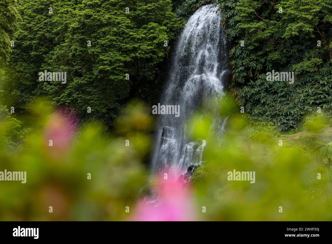 Wasserfall VEU da Noiva (Brides Veil) in Ribeira dos Caldeiroes, Nordeste, Insel Sao Miguel, Azoren, Portugal Stockfoto