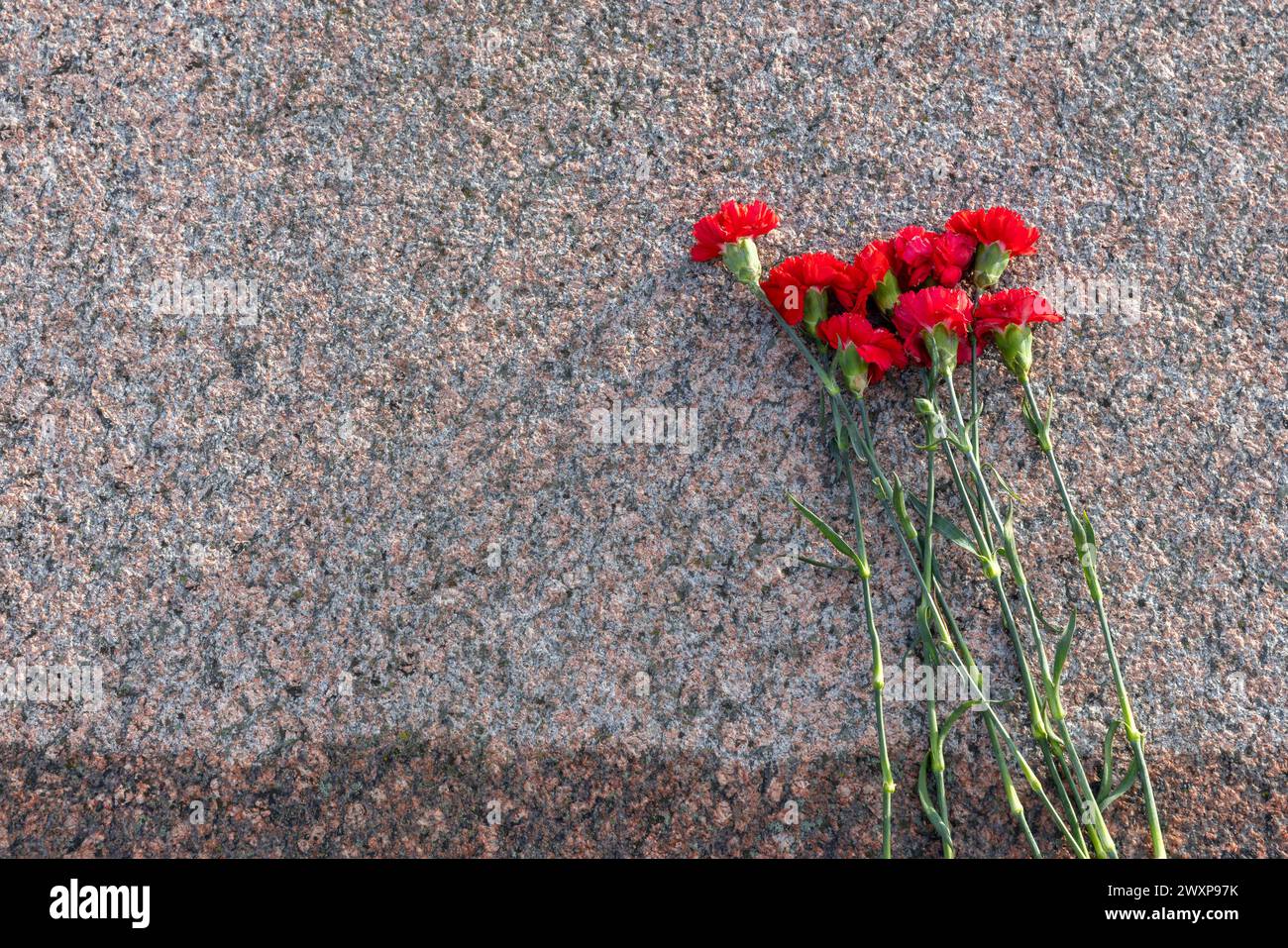 Rote Nelken liegen auf der Granitplatte des Grabes der Unkown-Soldaten Stockfoto