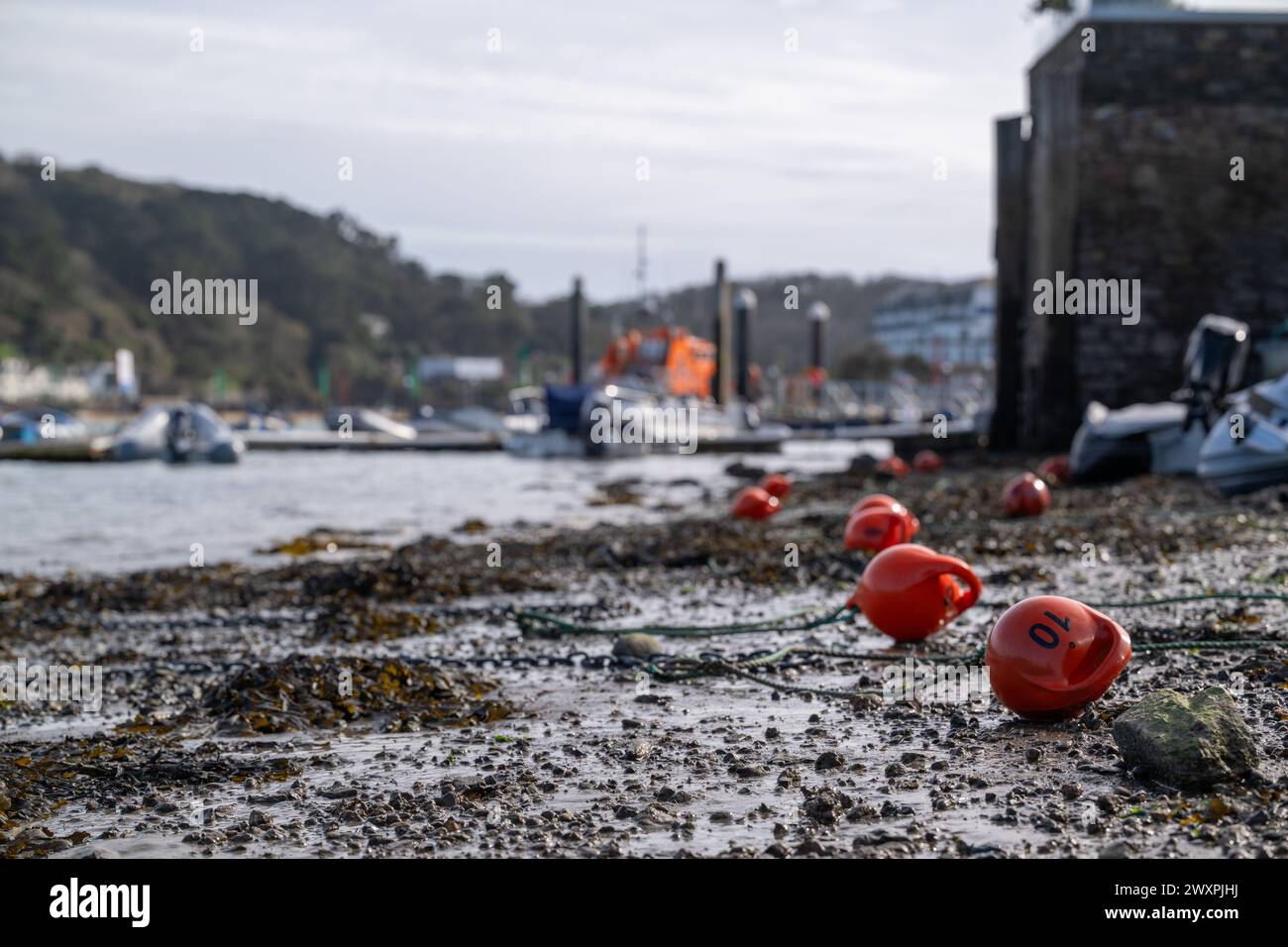 Ebbe am Victoria Quay mit einer Reihe von Bojen auf dem Wattenmeer mit dem Salcombe Rettungsboot im Hintergrund. Stockfoto