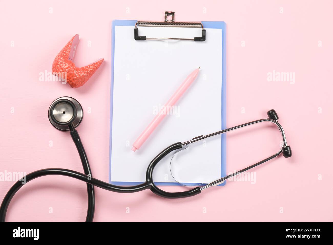 Endokrinologie. Stethoskop, Clipboard, Modell der Schilddrüse und Stift auf rosa Hintergrund, flache Lage Stockfoto