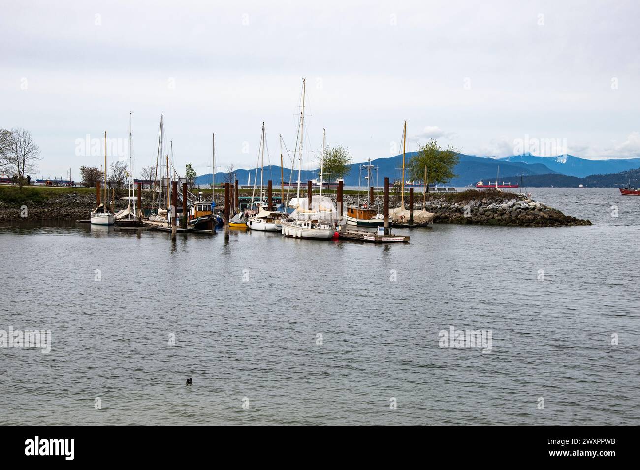 Boote legten am Hadden Park Beach in Vancouver, British Columbia, Kanada an Stockfoto