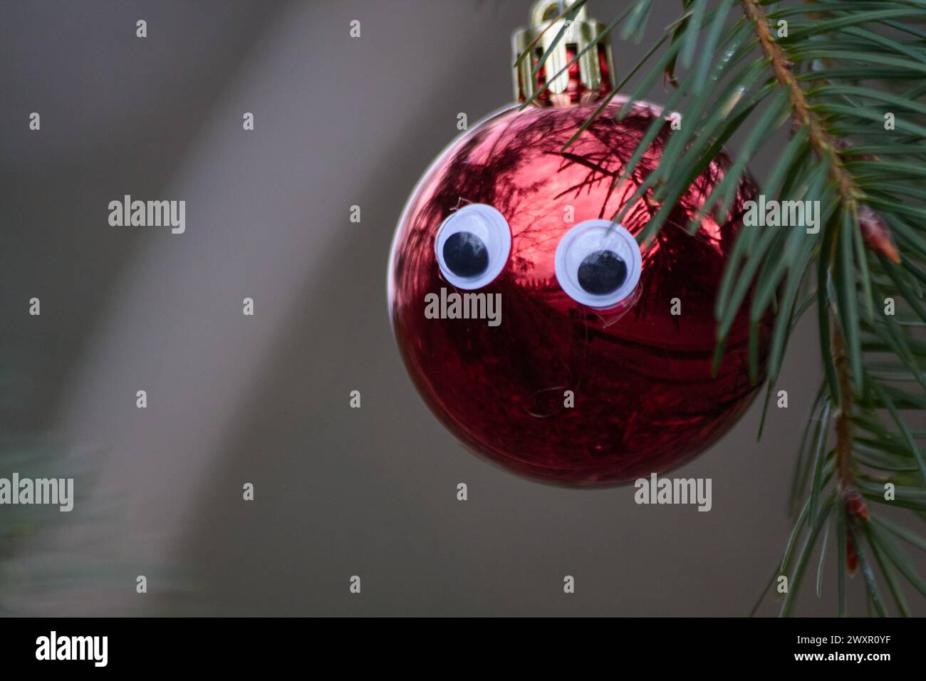 Eine rote Weihnachtsdekoration mit zwei Augen, die an einem Zweig hängen. Stockfoto