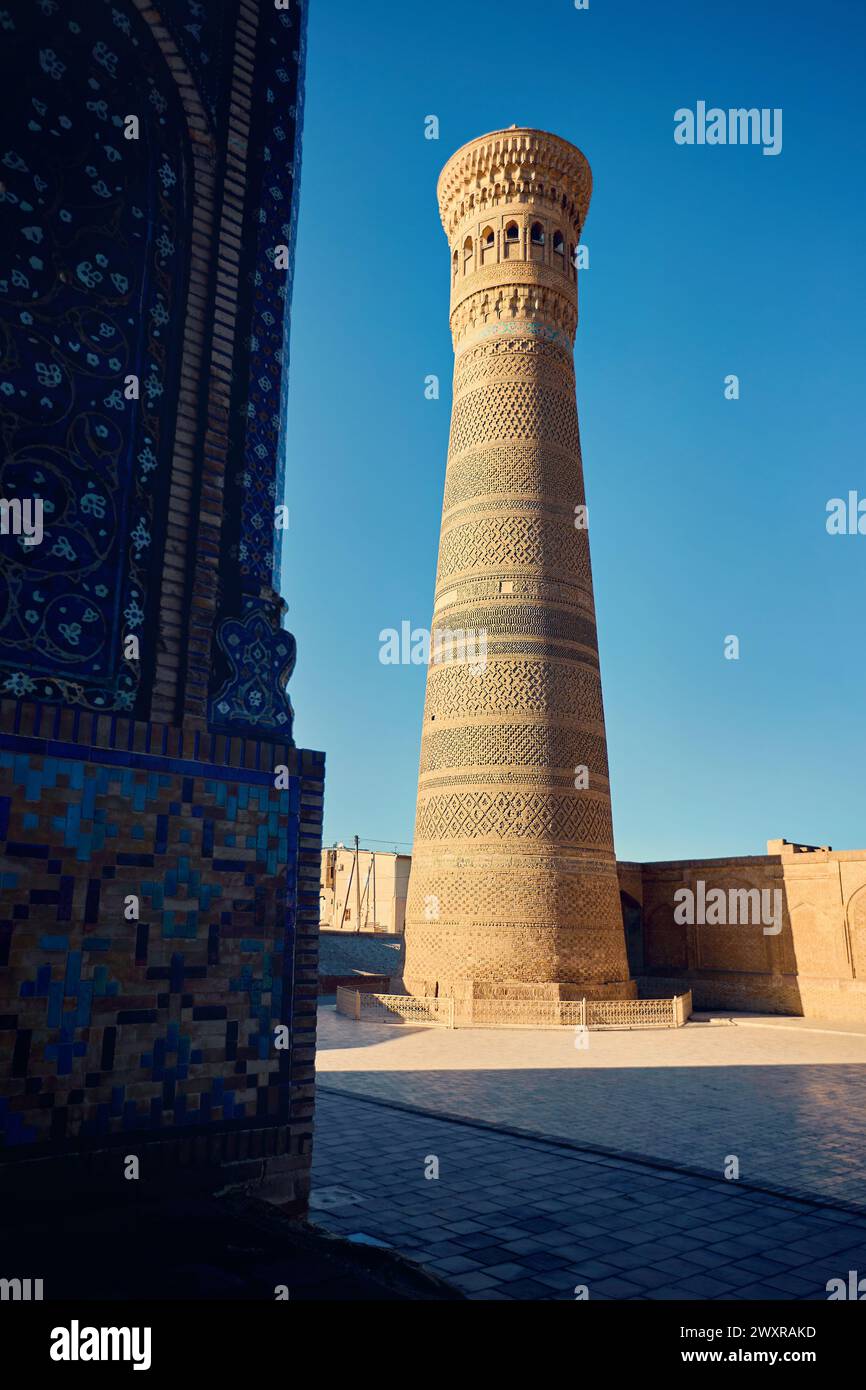 Blick auf den Kulturplatz und die kalyanische Minaretmoschee masjid Madrasah bei Sonnenuntergang in Buchara, Usbekistan Stockfoto