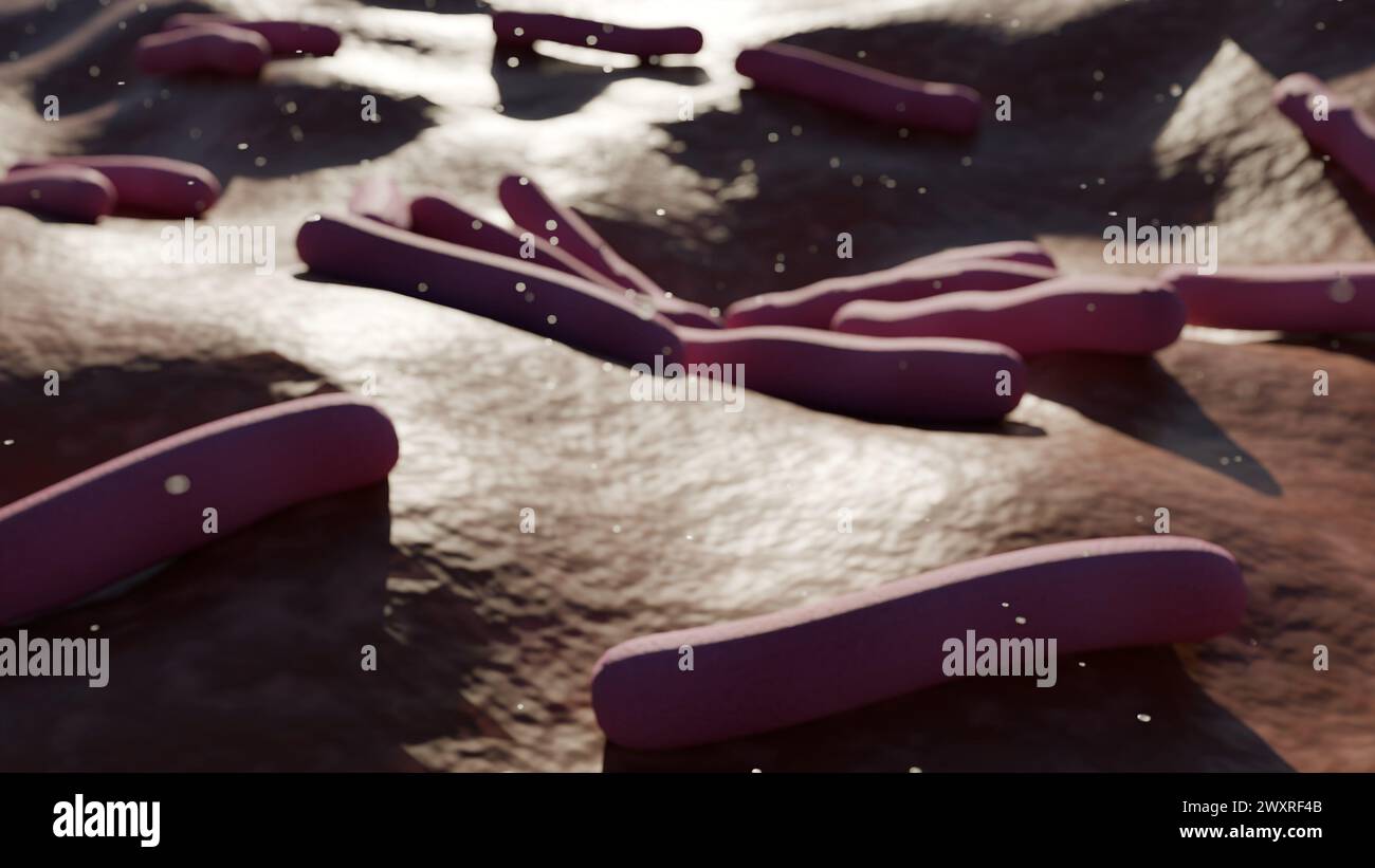 3D-Animation von Mycobacterium leprae, ist ein grampositives Bakterium, das Lepra verursacht, auch bekannt als Hansen-Krankheit Stockfoto