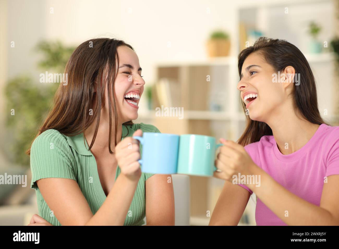 Zwei glückliche Freunde, die mit Kaffeetassen anstoßen und zu Hause lachen Stockfoto