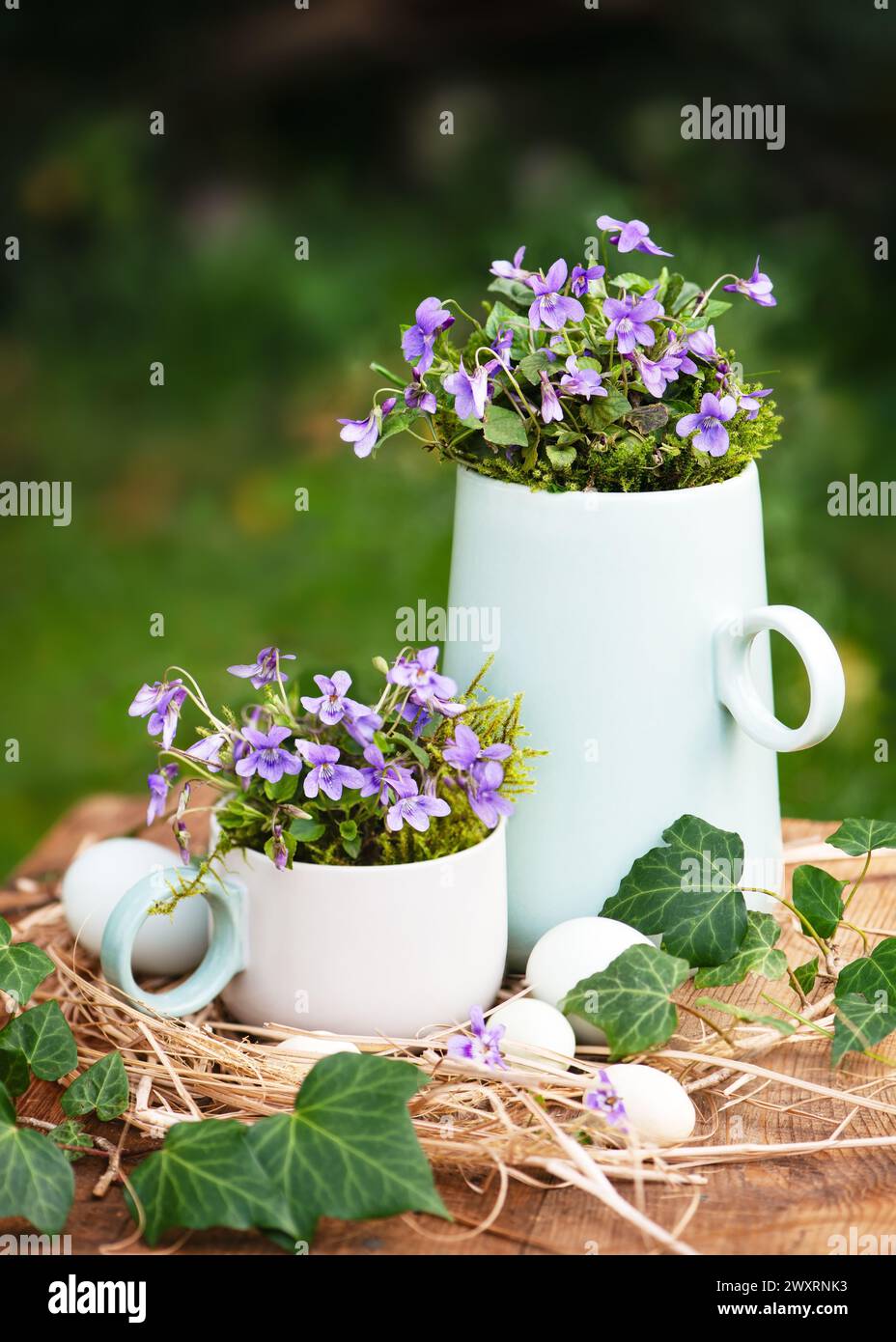 Vintage-floristisches Arrangement mit süßen violetten Blüten in Keramik-Teekanne und Tasse mit Eiern dekoriert. (Viola odorata) Gartendekoration für den Osten. Stockfoto