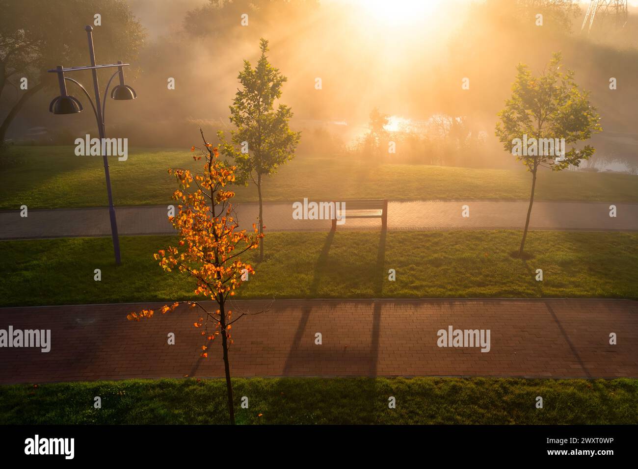 Dawn's Veil: Ätherischer Nebel über den Fluss im Park Stockfoto