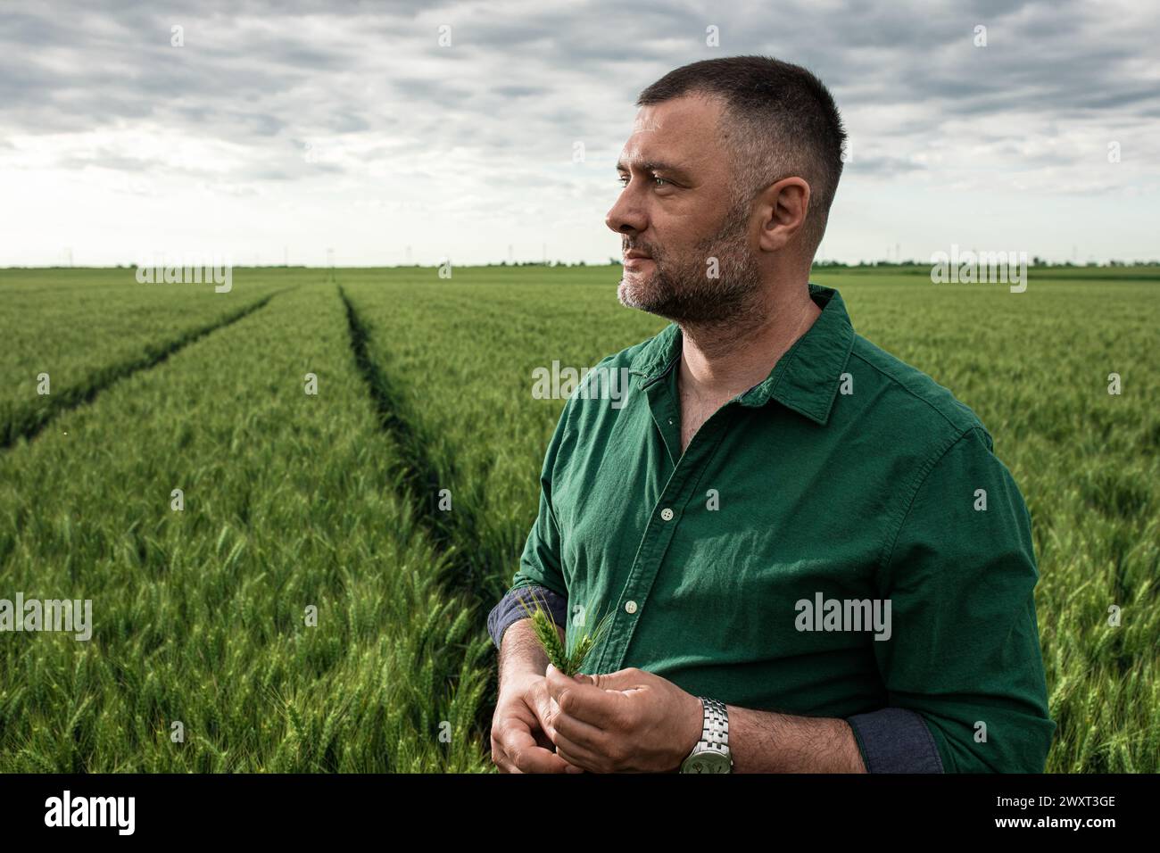 Porträt eines Bauern, der auf dem Weizenfeld steht. Stockfoto