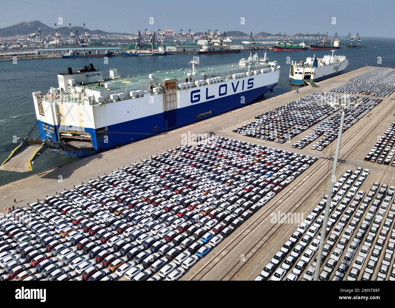 (240402) -- YANTAI, 2. April 2024 (Xinhua) -- ein am 1. April 2024 aufgenommenes Luftdrohnenfoto zeigt, dass in der Zhifu-Bucht des Hafens Yantai in der ostchinesischen Provinz Shangdong Güter für den Export geladen werden sollen. In den letzten Jahren hat der Hafen Yantai seine Bemühungen verstärkt, einen Logistikdrehkreuz für Gebrauchtfahrzeuge mit seinen einzigartigen geologischen Vorteilen aufzubauen. Inzwischen wurden 14 weltweite Logistiklinien für Rohstofffahrzeuge eröffnet, die mehr als 30 Länder und Regionen erreichen. Das Multimode-Umschlagsvolumen der Standardfahrzeuge im Yantai Port erreichte im ersten Quartal 2024 174.000, was einem Anstieg um 25,1 perc entspricht Stockfoto