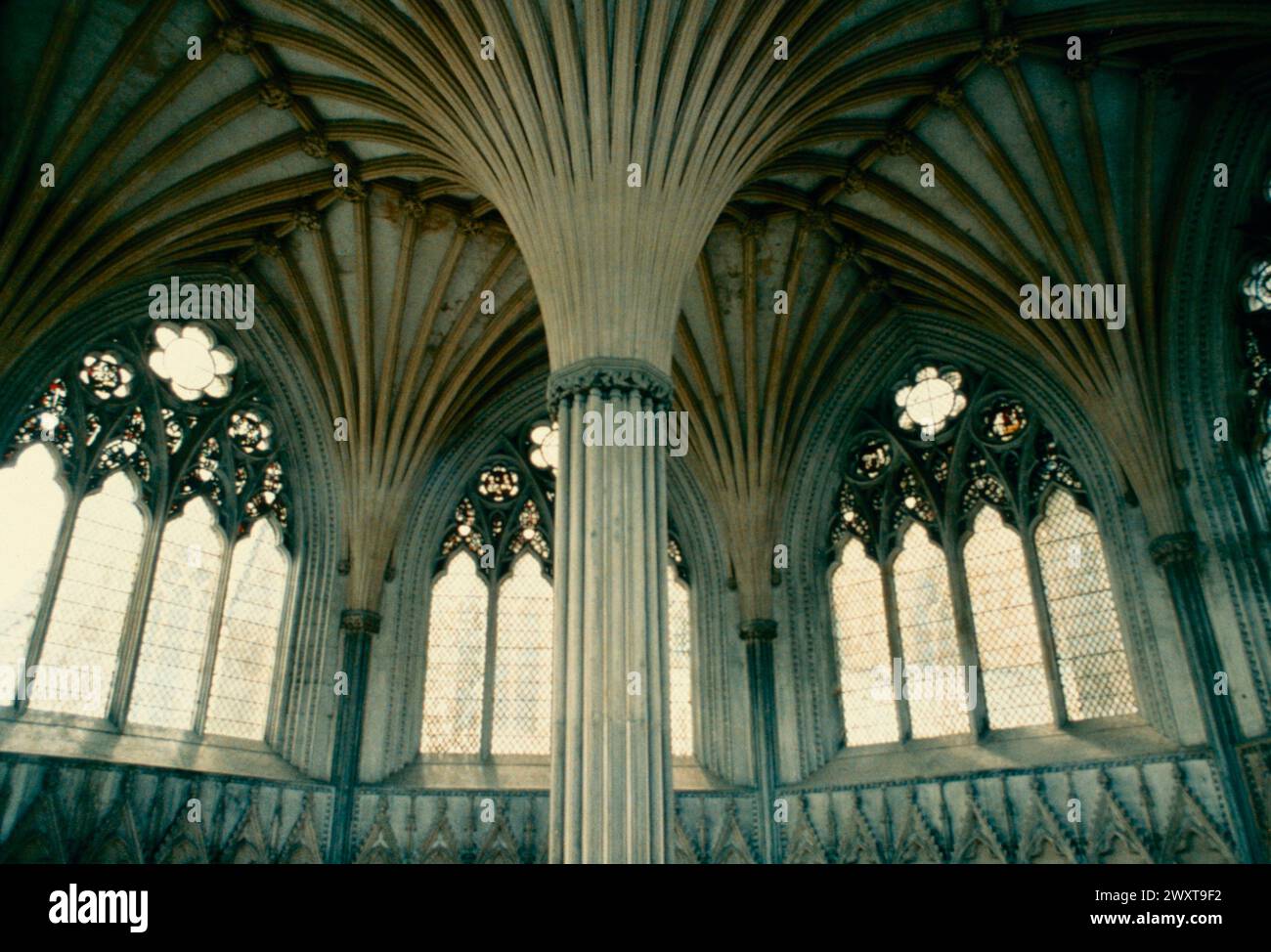 Fächergewölbe in der Kathedrale, Wells, England 1980er Jahre Stockfoto