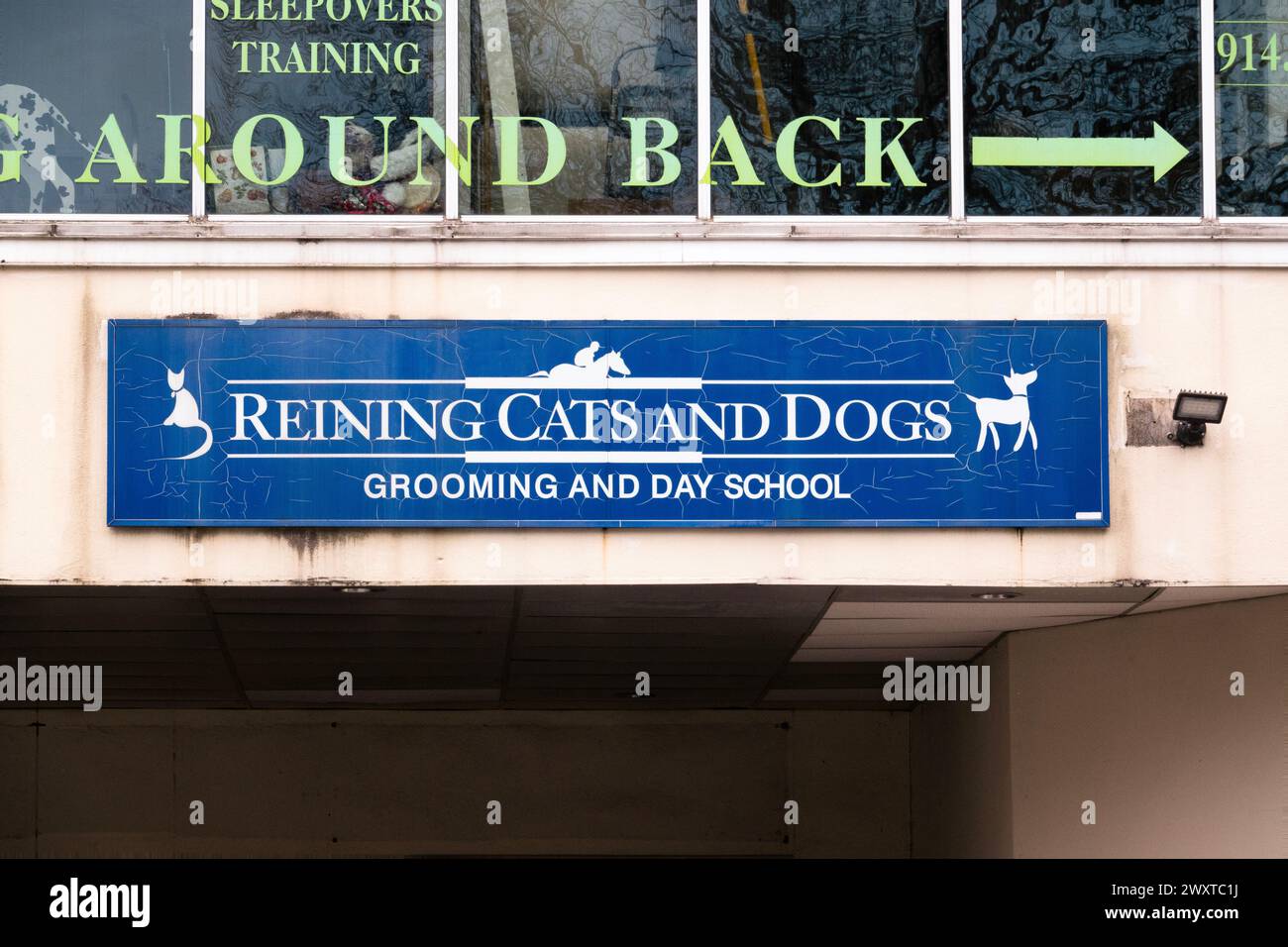 Katzen und Hunde zügeln. Ein lustiges Wortspiel auf der Main Street in Mount Kisco, Westchester, New York. Stockfoto