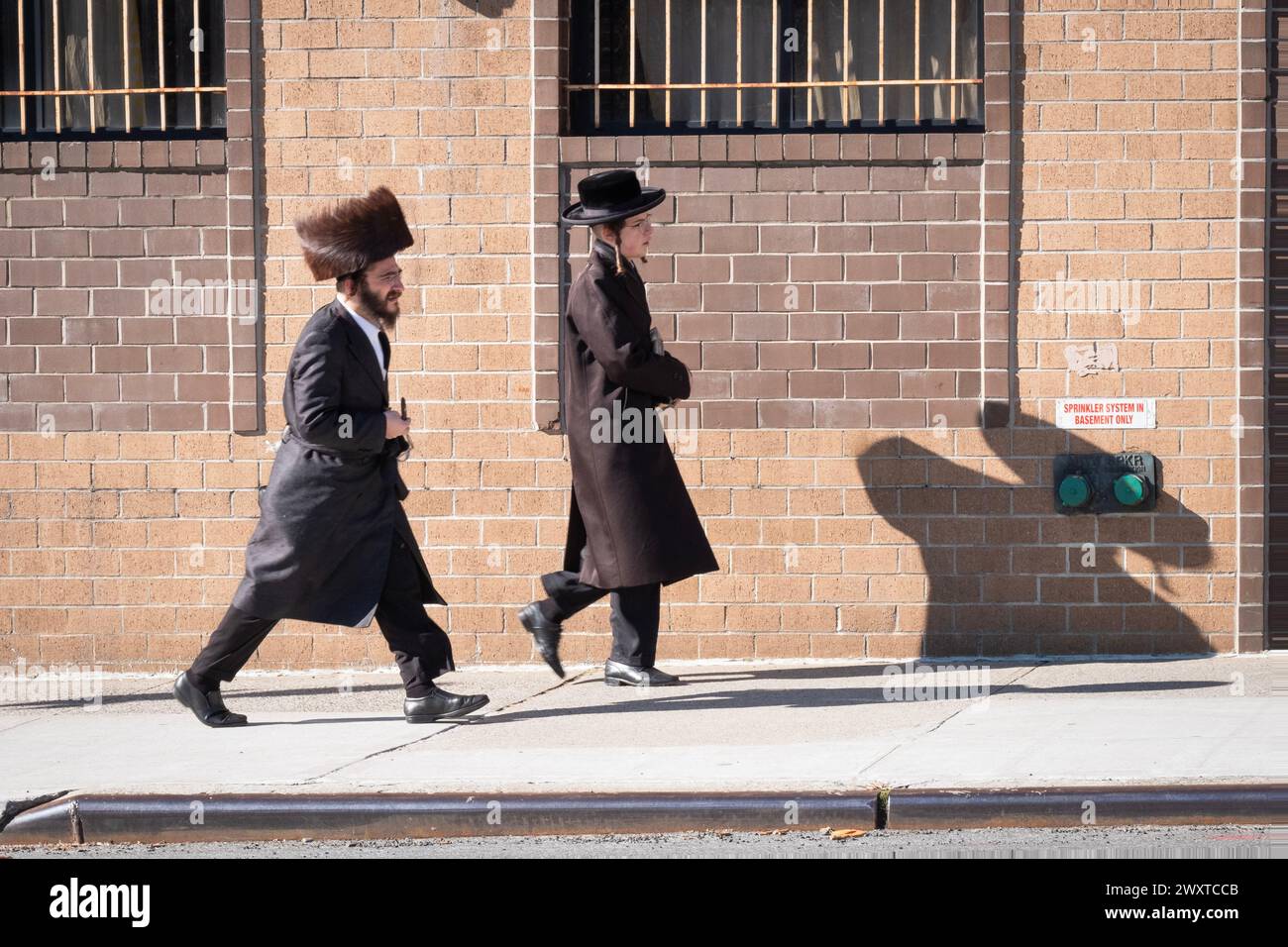 Auf Purim werfen zwei chassidische Männer einen riesigen Schatten auf dem Weg zu den Morgengottesdiensten. An der Wythe Avenue in Williamsburg, Brooklyn, New York. Stockfoto
