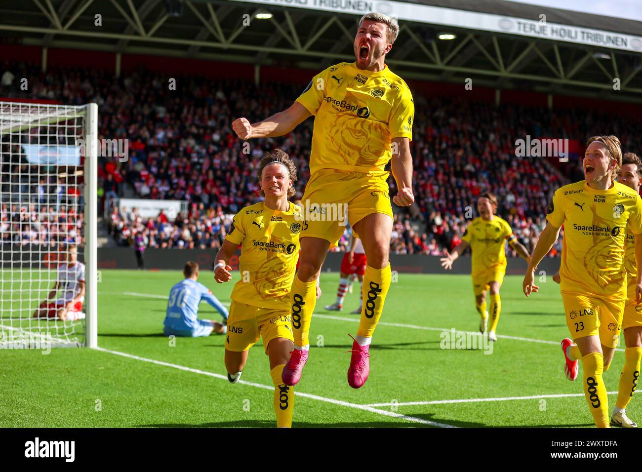 Fredrikstad, Norwegen, 1. April 2024. Bodø/Glimts Fredrik Bjørkan feiert das erste Tor seiner Mannschaft im Eliteserien-Spiel zwischen Fredrikstad und Bodø/Glimt im Fredrikstad-Stadion. Quelle: Frode Arnesen/Alamy Live News Stockfoto