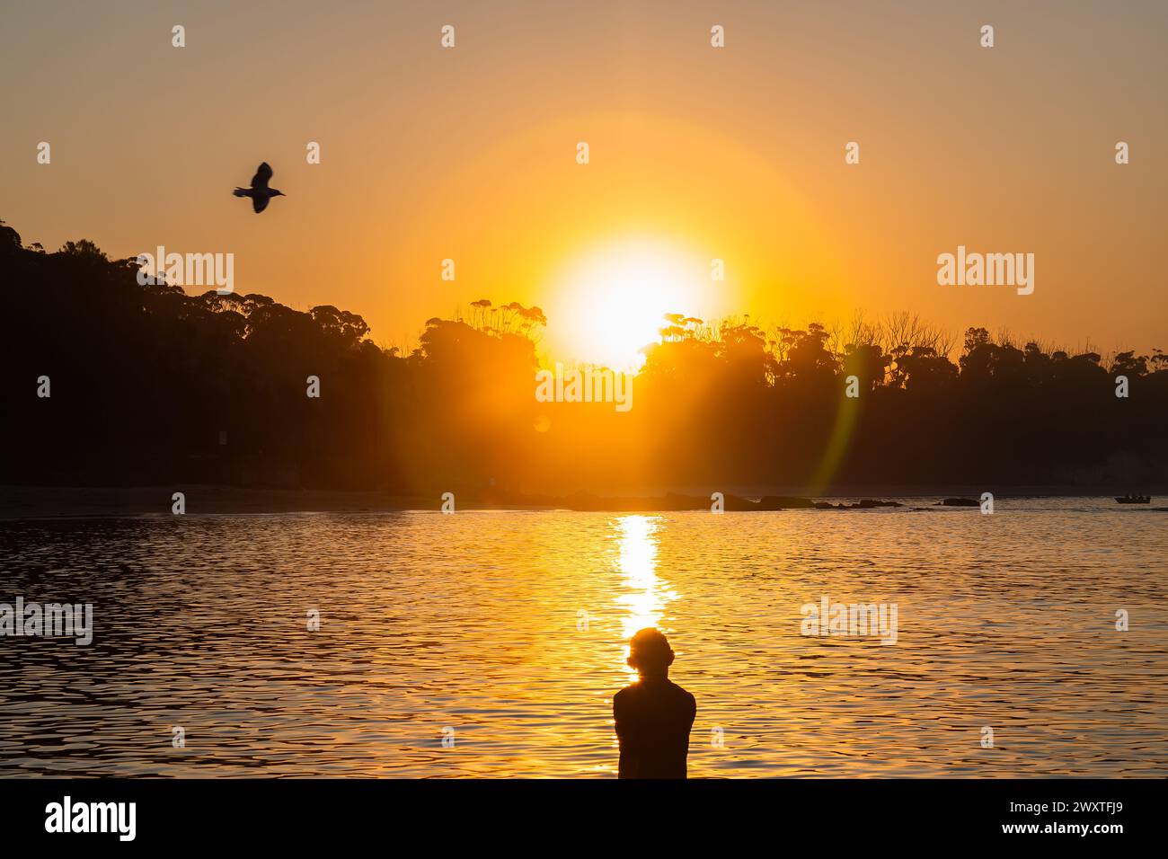 24.03.30-Manyana Beach at Sunset, 214 KM südwestlich von Sydney, NSW, Australien. Silhouetten von Einheimischen, die sich entspannen. Der Strand von Manyana verläuft von Manyana Villag Stockfoto
