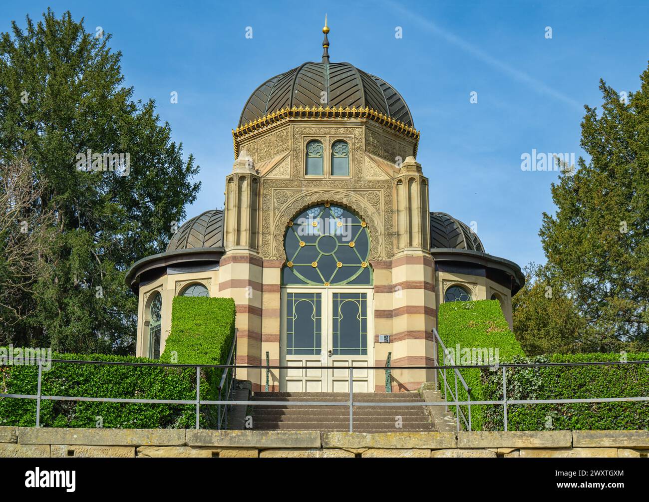 Die Magnolienblüten in Wilhelma Stuttgard. Baden Württemberg, Deutschland, Europa Stockfoto