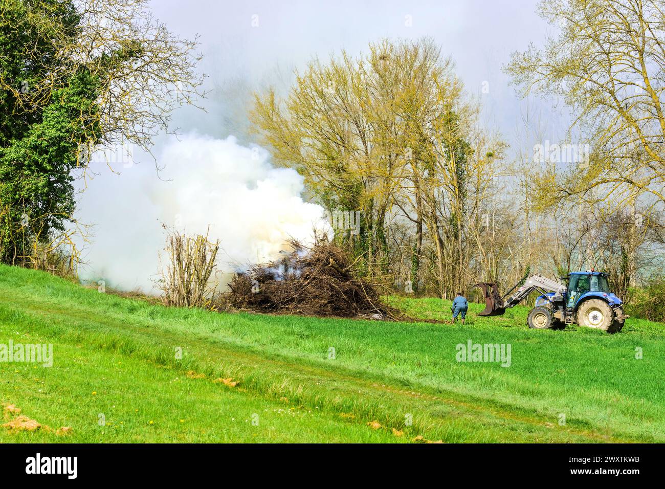 Landwirt, der großes Lagerfeuer von Altbaumeisten verbrennt - Zentralfrankreich. Stockfoto