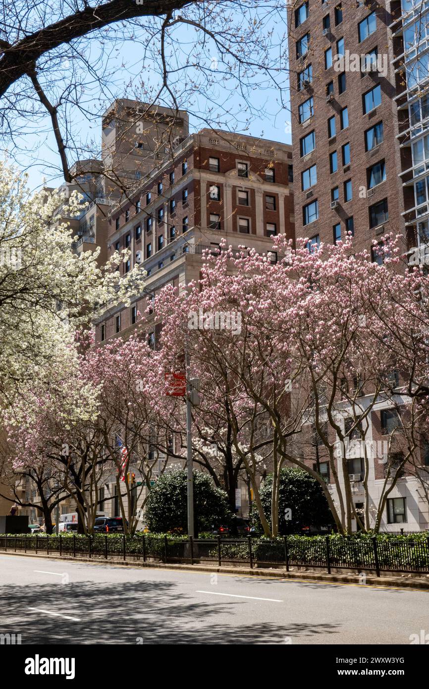 Straßenszene, Park Avenue, Wohnwohnungen, NYC, USA Stockfoto