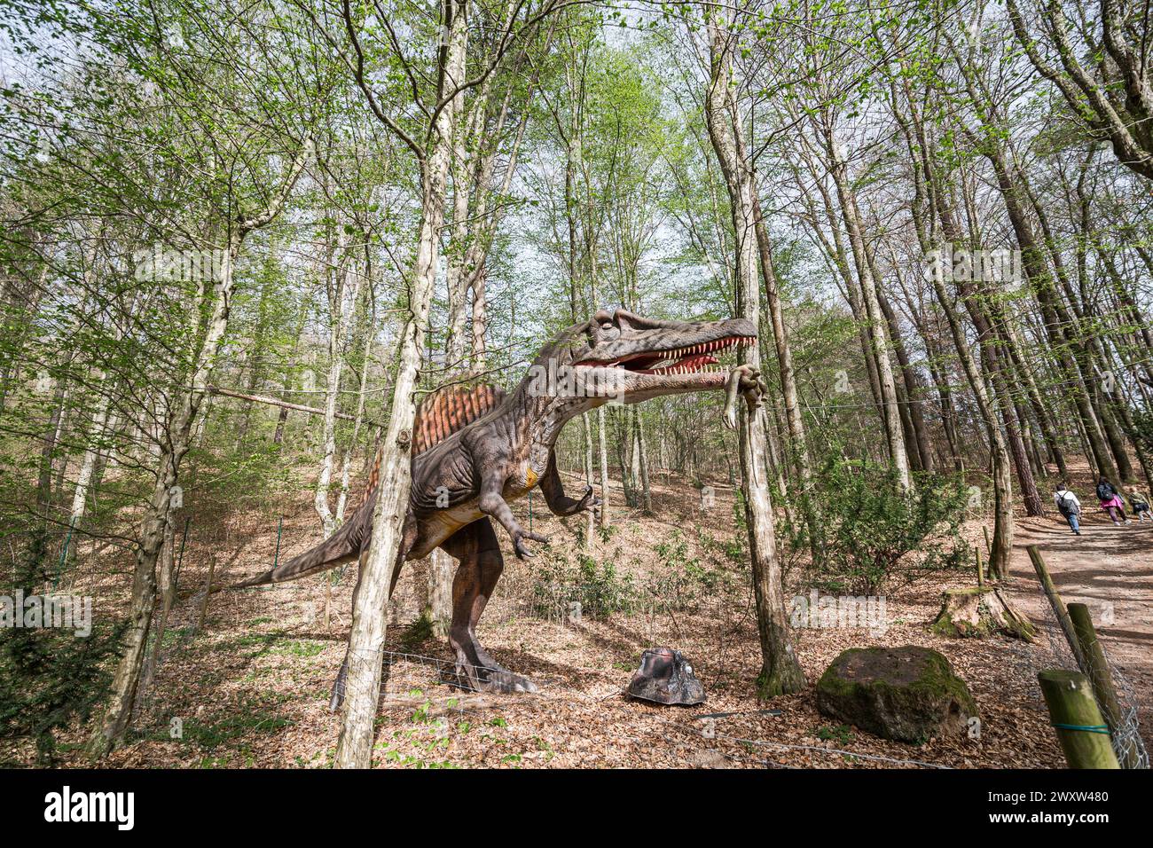 Ein Spinosaurus im Wildtierwald, ein Dinosaurier-Nachbau in der Natur Stockfoto