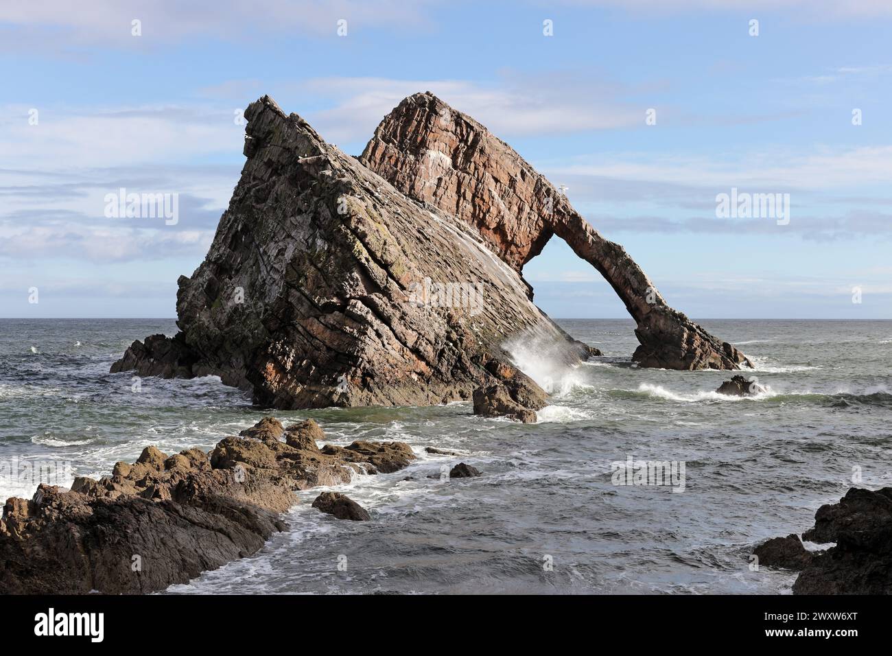 Bogen Geige Rock in der Nähe von Portknockie, Moray, Schottland, Großbritannien Stockfoto