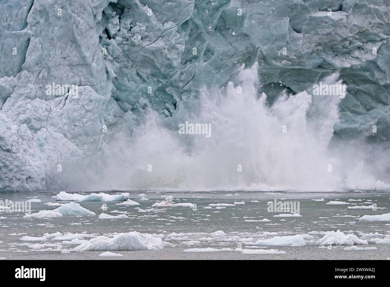 Das Gesicht des Pia-Gletschers kalbt und fällt in die Bucht von Pia. Der Gletscher fließt aus den Darwin Mountains und schmilzt aufgrund des Klimawandels schnell. Stockfoto