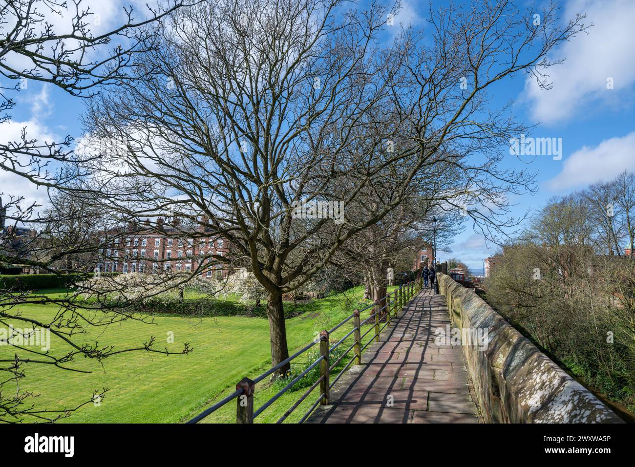 Spazieren Sie entlang der Stadtmauern von Chester in der Nähe der King Charles Tower Gardens, Chester, Cheshire, England, Großbritannien Stockfoto