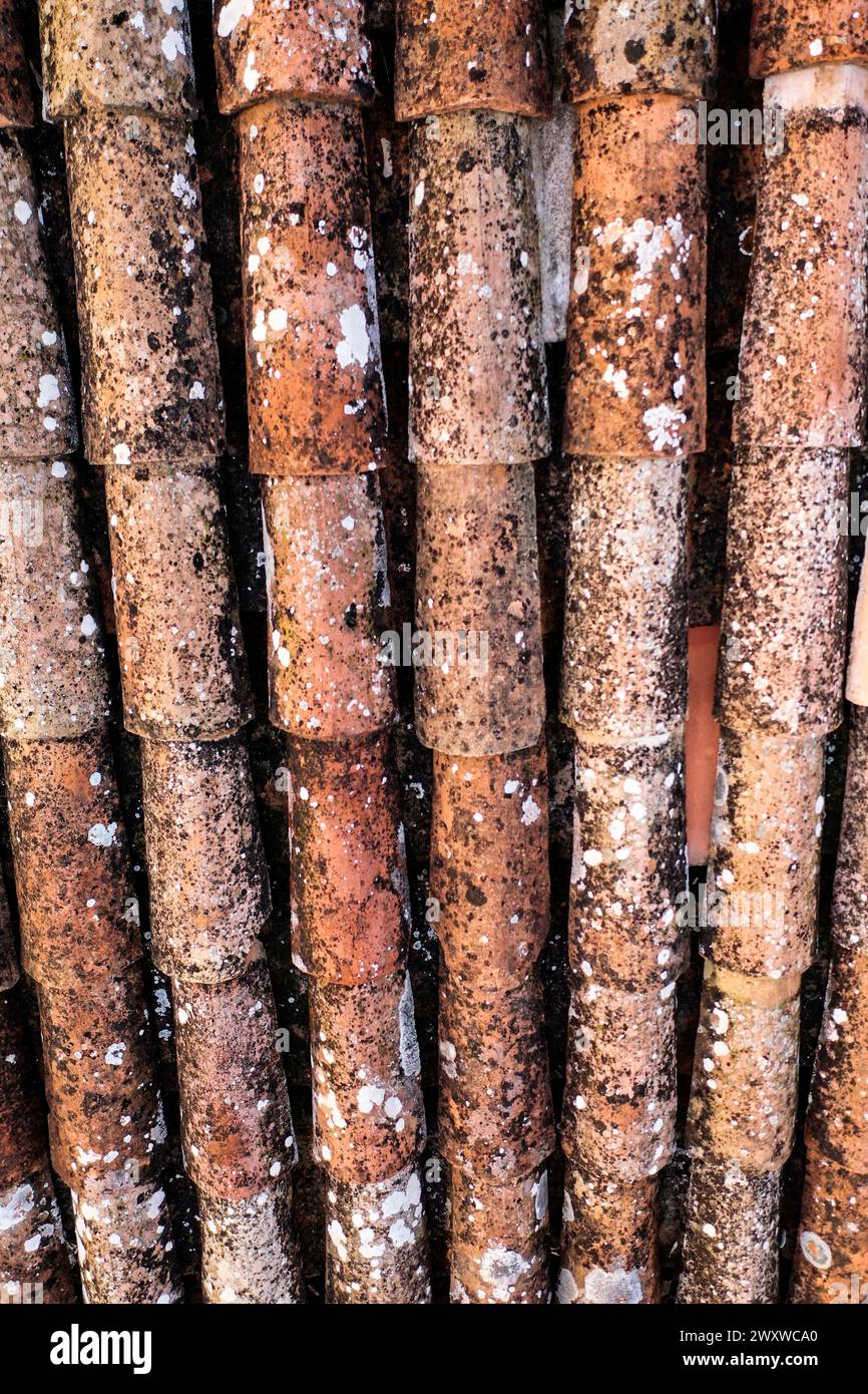 Dachschindeln beschädigt und reparaturbedürftig Stockfoto