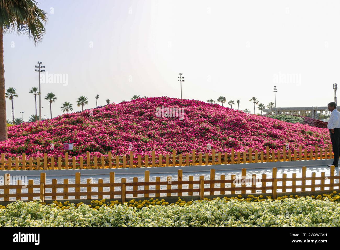 Yanbu, Region Madinah, Saudi-Arabien. 23. März 2019 - Blumenfest - jährliche Veranstaltung der Königlichen Kommission Stockfoto