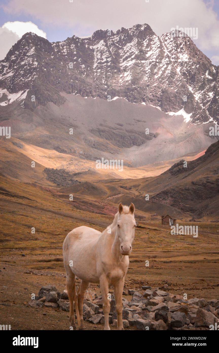 Rainbow Mountain, Peru Stockfoto