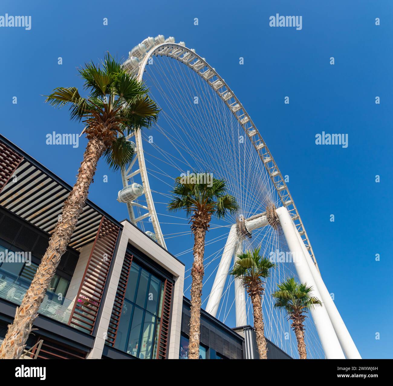 Ein Bild vom Ain Dubai Riesenrad. Stockfoto