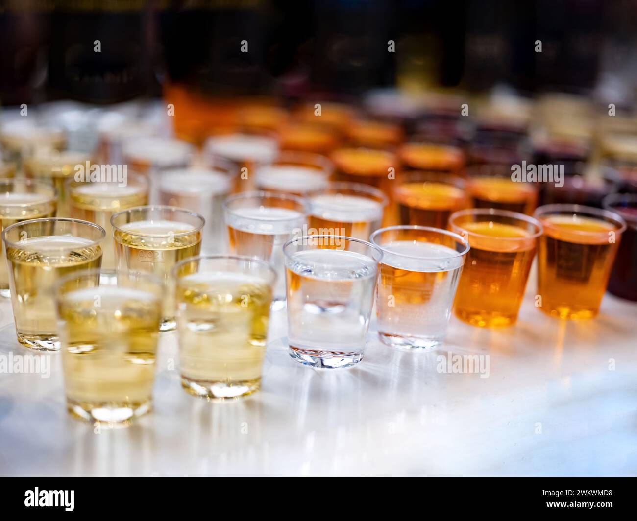 Auswahl an starken alkoholischen Getränken, harten Likören, Spirituosen und Destillaten in Gläsern: Wodka, Cognac, Whiskey und andere. Harter, heller Kopierbereich. Alc Stockfoto