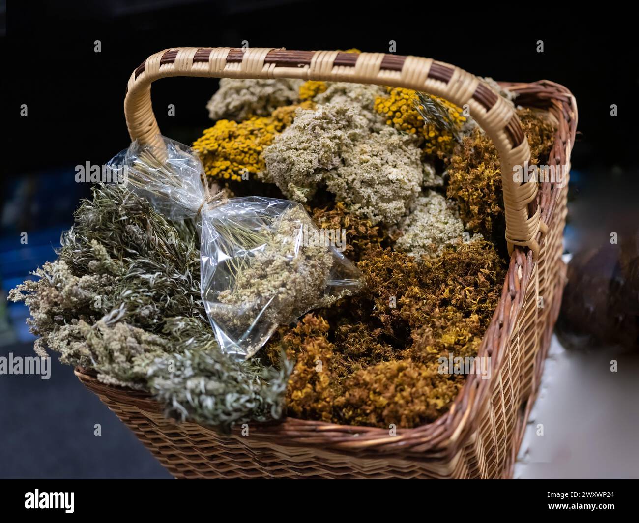 Verschiedene getrocknete medizinische Kräuter und Blumen, und Kräutertee. Pflanzliche Medizin Stockfoto