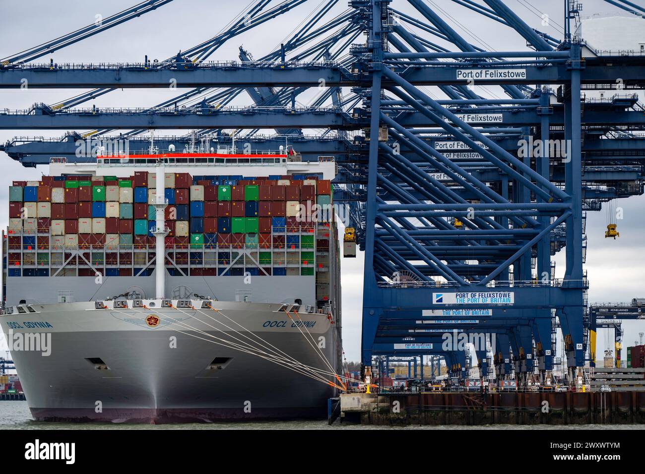 OOCL Gdynia Containerhafen von Felixstowe Suffolk UK Stockfoto