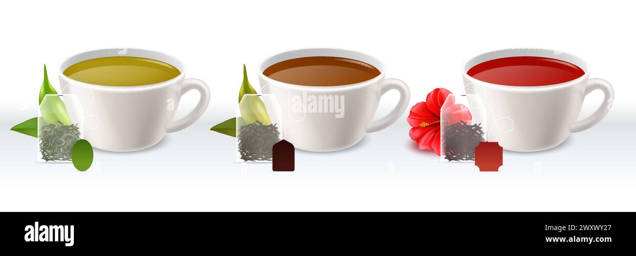 Teesorten. Grüne schwarze und hibiskuswarme natürliche Getränke. Frische Blätter und Teebeutel, realistische weiße Tassen mit flüssigen verschiedenen Farben. Ceylon und Stock Vektor