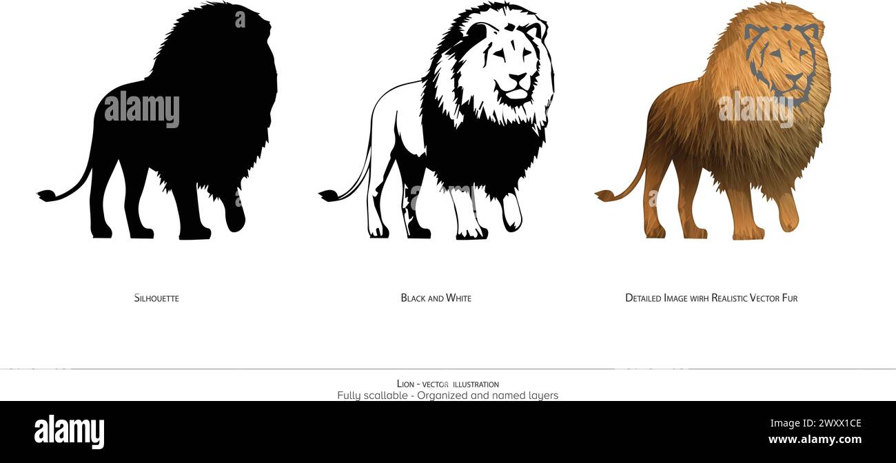 Majestätische Löwen-Vektor-Illustration. Lion Silhouette. Schwarz-weiß. Löwe. Detaillierter Vektor. Realistische Tierillustration – organisierte Ebenen und Animaten Stock Vektor