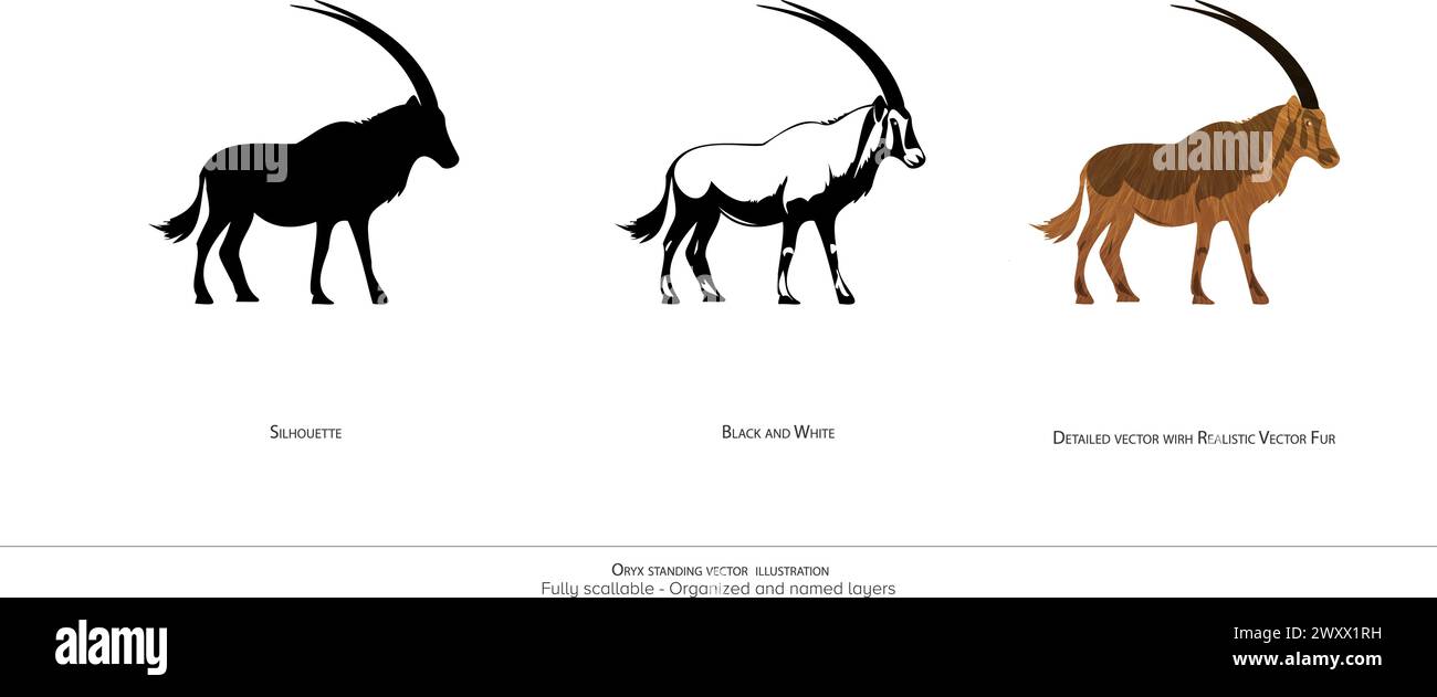 Oryx Standing Vector Illustration. Oryx Silhouette. Schwarz-weiß. Detaillierter Oryx-Vektor. Realistische Tierillustration – organisierte Ebenen und Animaten Stock Vektor