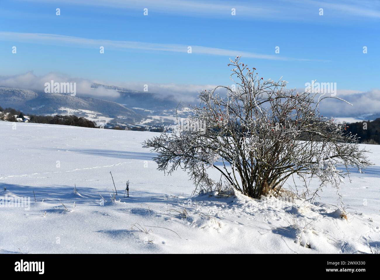 Winterlandschaft in der schönen Rhön Stockfoto