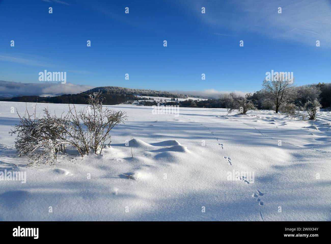 Winterlandschaft in der schönen Rhön Stockfoto