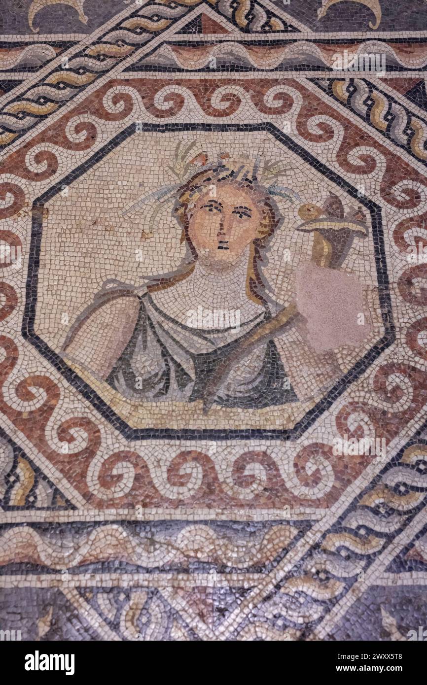 Frauenporträtmosaik, Zeugma Mosaikmuseum, Gaziantep, Provinz Gaziantep, Türkei Stockfoto