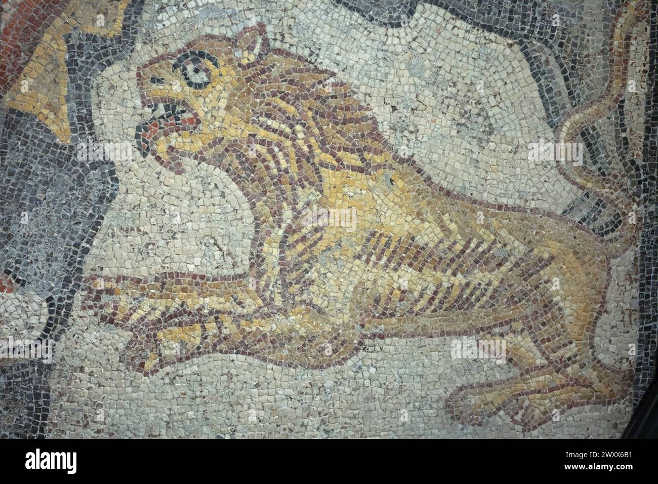 Löwe, Orpheus-Mosaik, Sanlıurfa-Museum, Urfa, Provinz Sanliurfa, Türkei Stockfoto