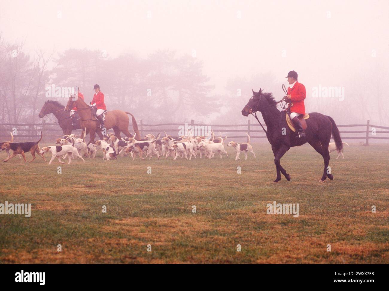 NEBELIGER BLICK AUF DIE JAGD AUF FUCHS ZU PFERD, CHESHIRE FOXHOUNDS, RUNNYMEADE FARM, CHESTER COUNTY, PENNSYLVANIA, USA Stockfoto