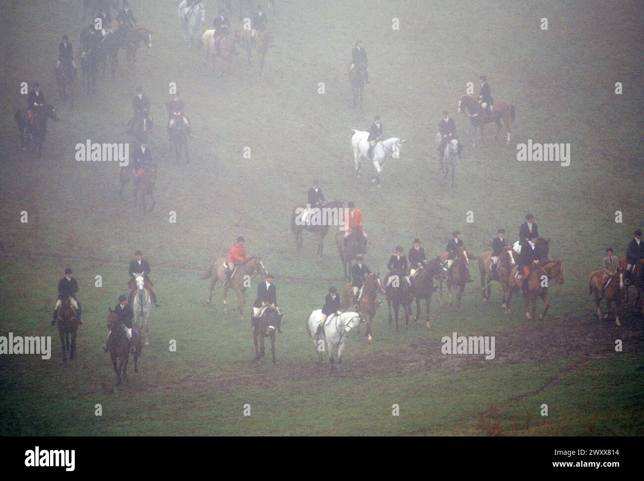 NEBELIGER BLICK AUF DIE JAGD AUF FUCHS ZU PFERD, CHESHIRE FOXHOUNDS, RUNNYMEADE FARM, CHESTER COUNTY, PENNSYLVANIA, USA Stockfoto