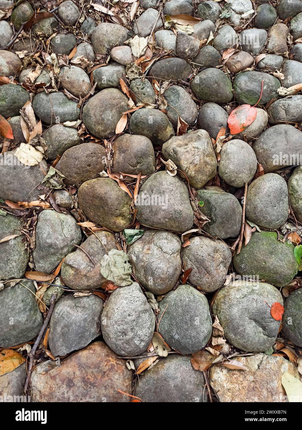 Die Bodenstruktur von abgerundeten Steinen, trockenen Blättern und Zweigen Stockfoto