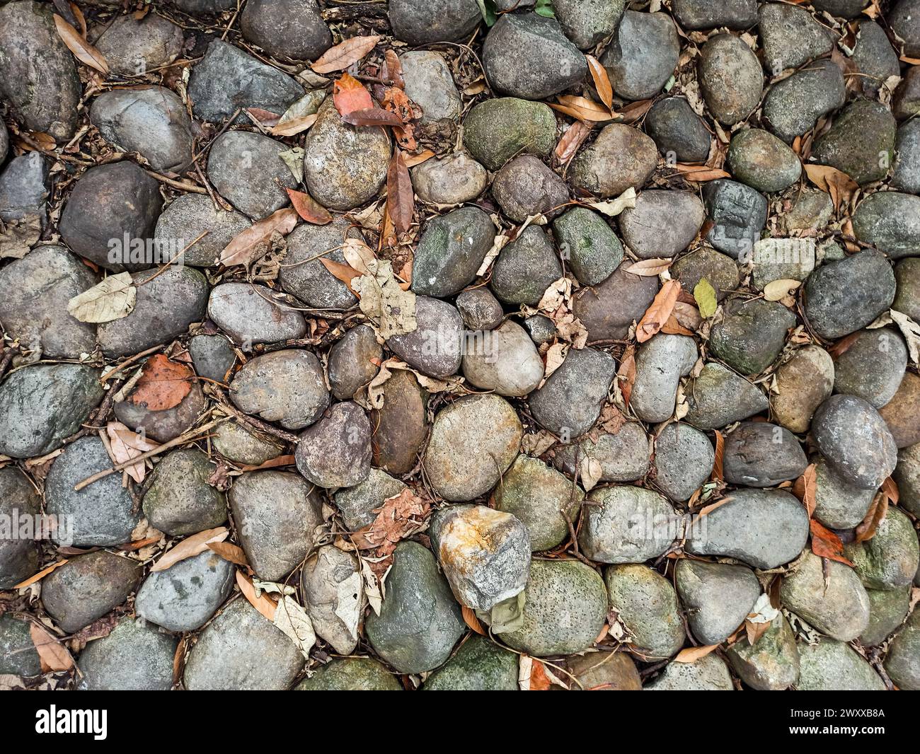 Die Bodenstruktur von abgerundeten Steinen, trockenen Blättern und Zweigen Stockfoto