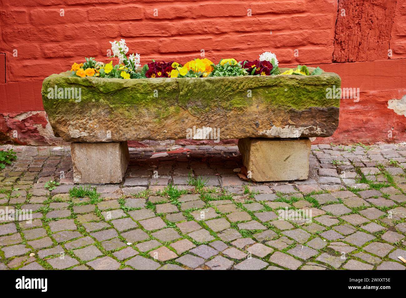 Stein blumenkasten -Fotos und -Bildmaterial in hoher Auflsung  Alamy