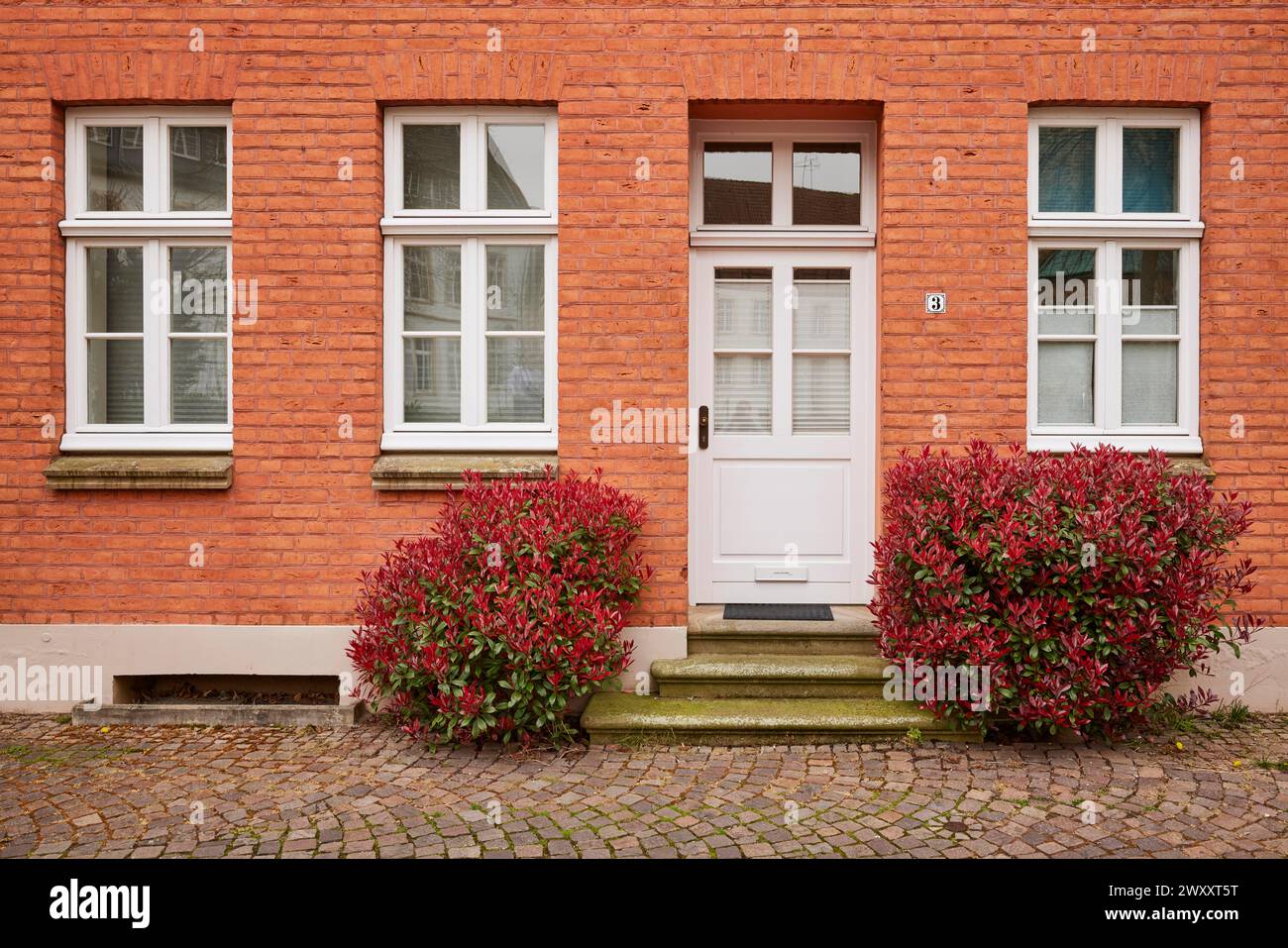 Rötliche Fassade eines alten Hauses mit weißen Türen und Fenstern und zwei rotblättrigen Loquats (Photinia) im Eingangsbereich in Warendorf, Warendorf Stockfoto