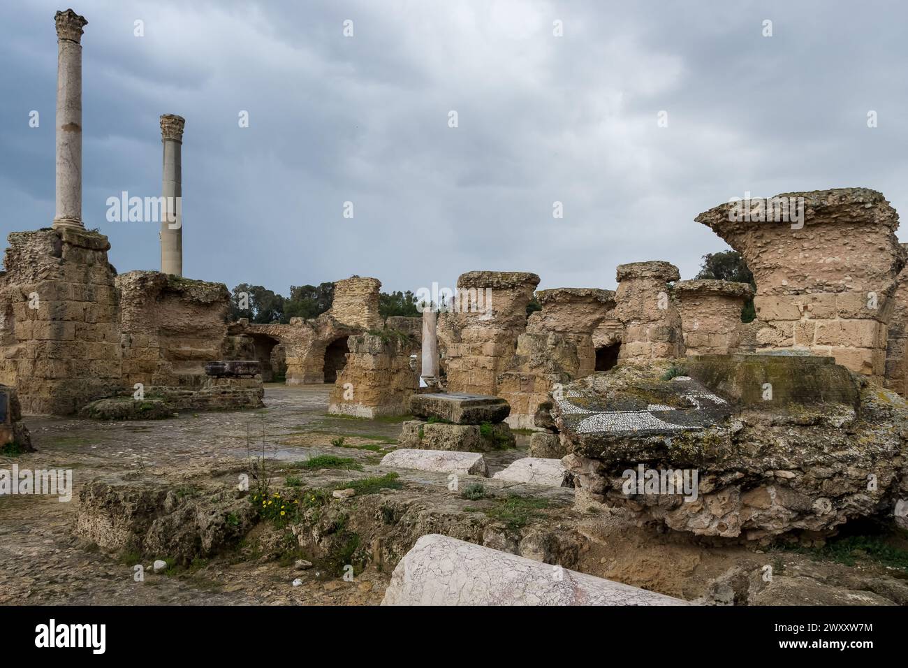 Blick auf die Thermen von Antoninus oder die Thermen von Karthago in Karthago, Tunesien, die größte Gruppe römischer Thermen auf dem afrikanischen Kontinent Stockfoto